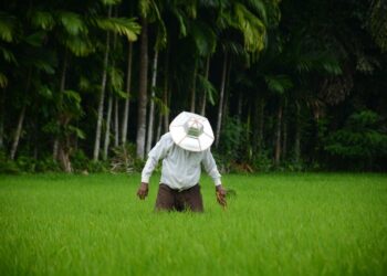 sri lankan farmer