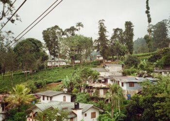 sri lankan village
