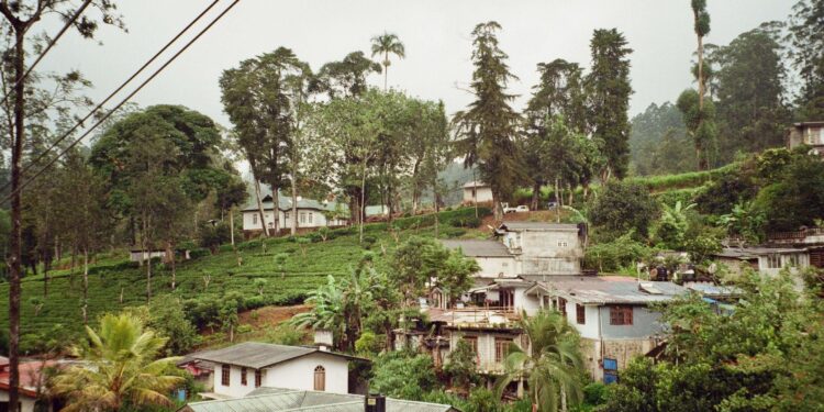 sri lankan village