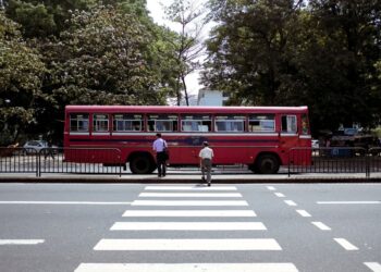 local bus passing through a zebra crossing
