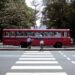 local bus passing through a zebra crossing