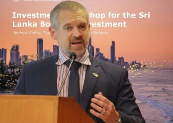 BOI and Austrade partner on FDI promotion workshop