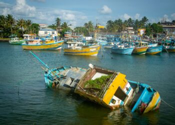 Negombo lagoon