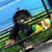 To nap or not to nap? Science is still waking up to the question