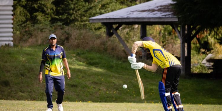 playing cricket