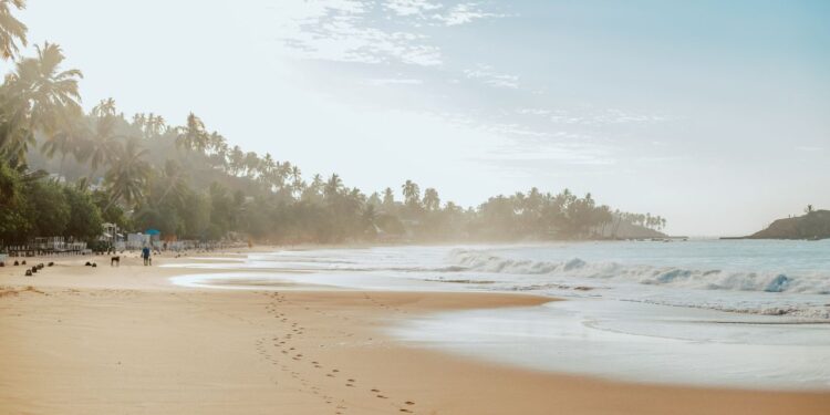 sri lankan beach