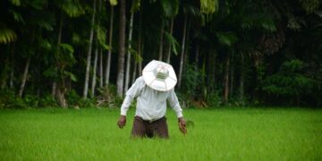 sri lankan farmer