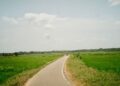 sri lankan roads in between paddy field