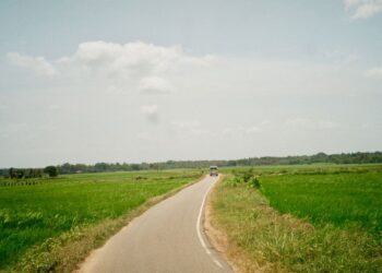 sri lankan roads in between paddy field